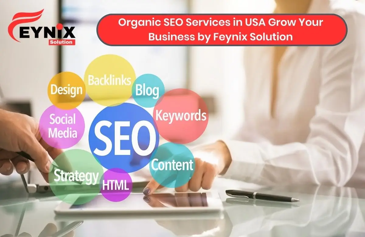 organic seo services