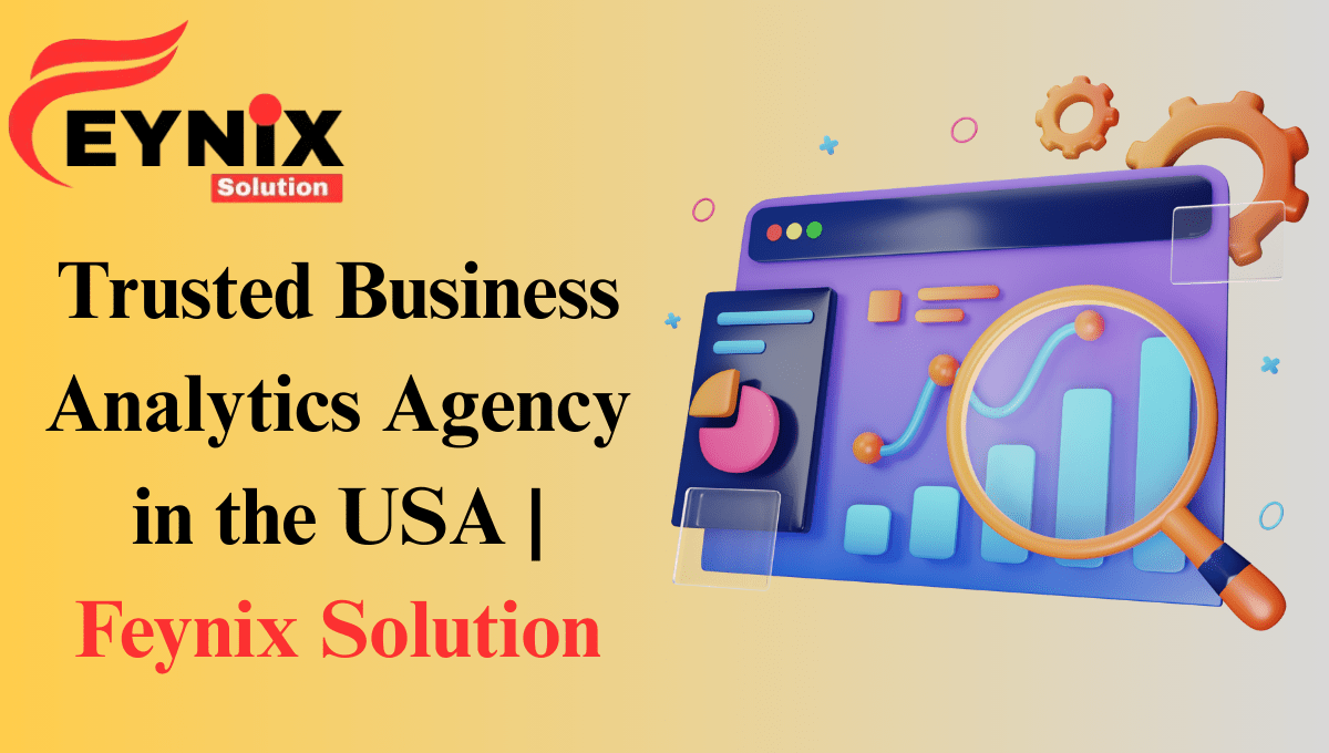 Business Analytics Agency
