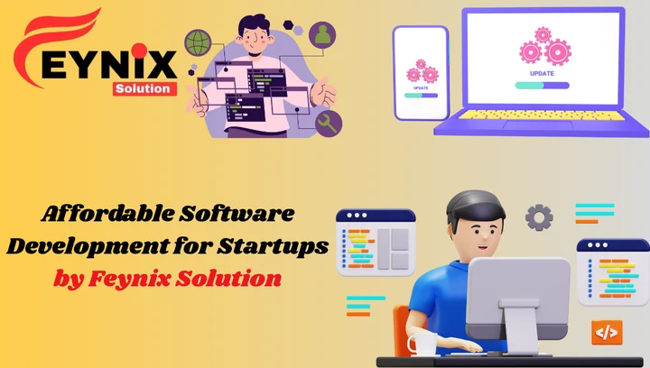 software development for startups