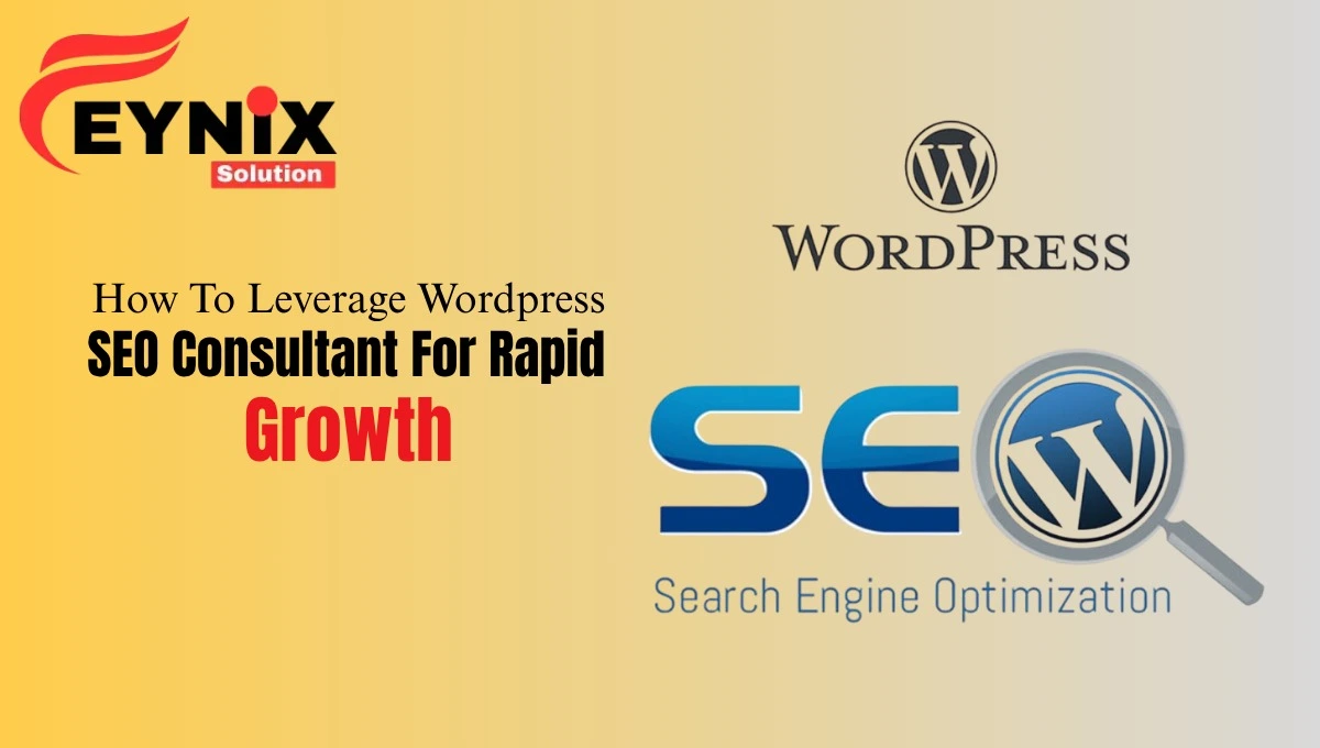 Wordpress SEO Consultant​