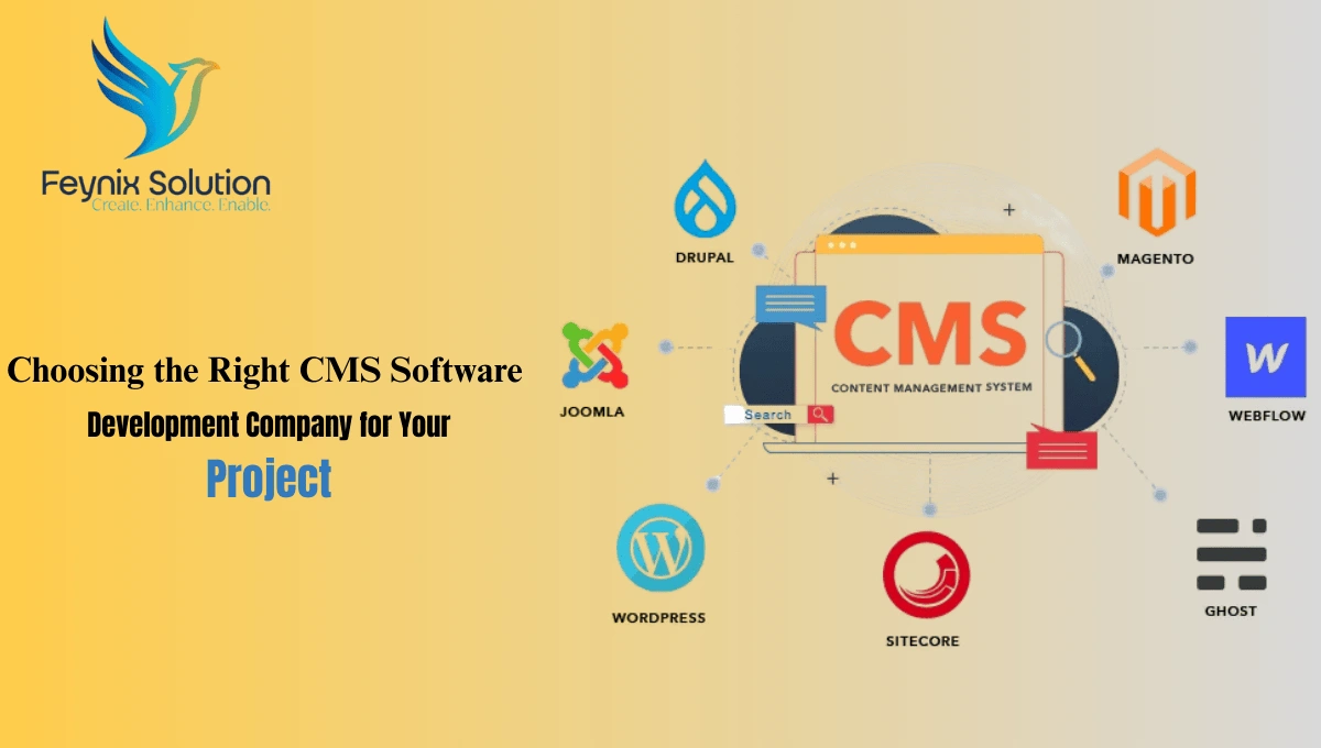 CMS Software Development Company